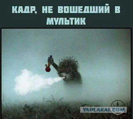 Опять обдолбался, паршивец!?