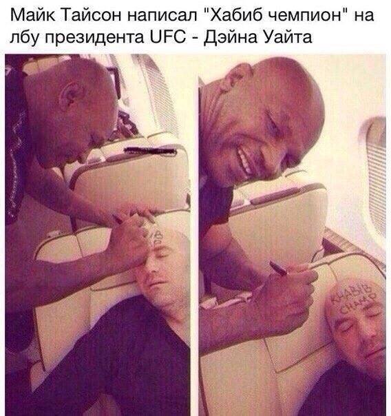 Прикольные картинки абавсём
