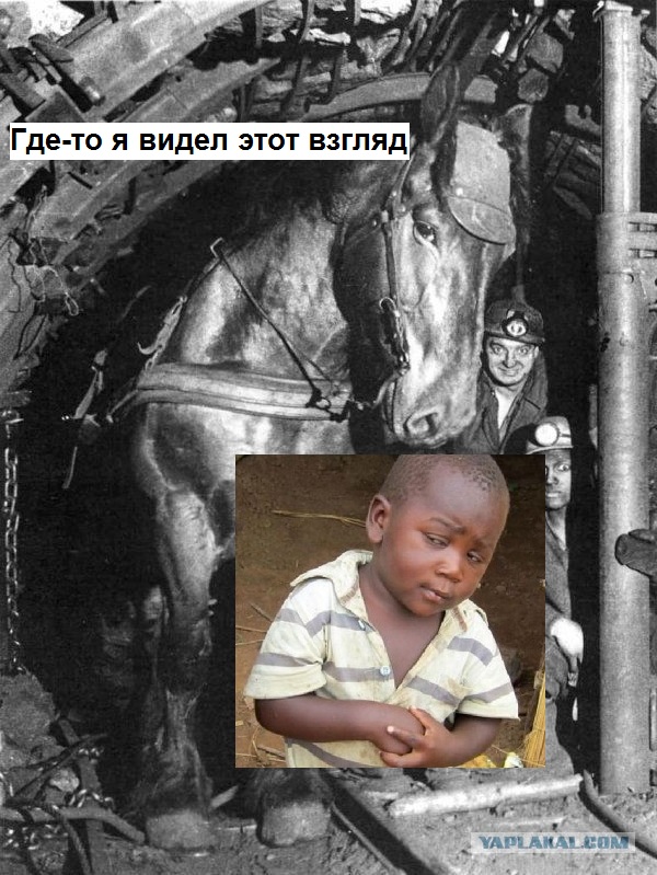 Интересные и редкие фотографии