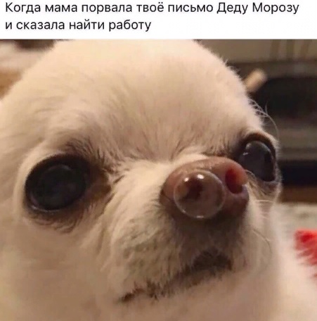 С новым годом!