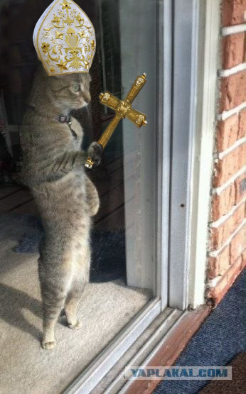 Договаривайтесь заранее - Какое окно..