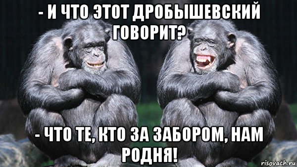 Чем кроманьонцы отличались от современного человека? Станислав Дробышевский.