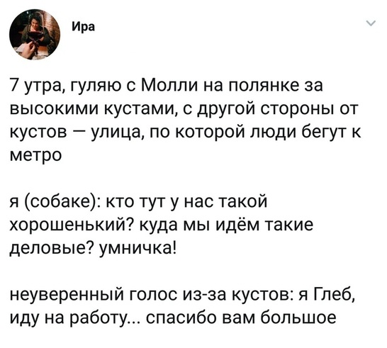 Чуток картинок!