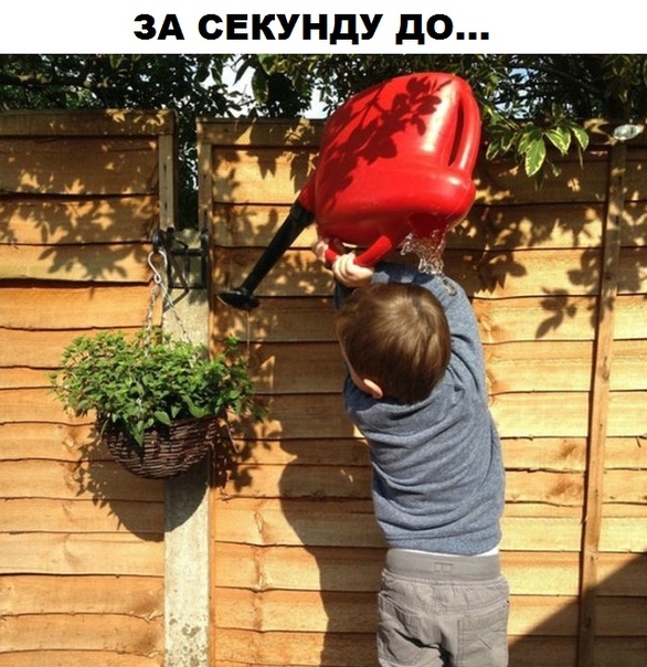Немного картинок для настроения 29.11.19