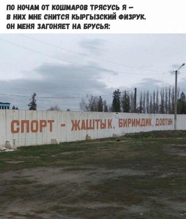 Вижу Рифмы VI