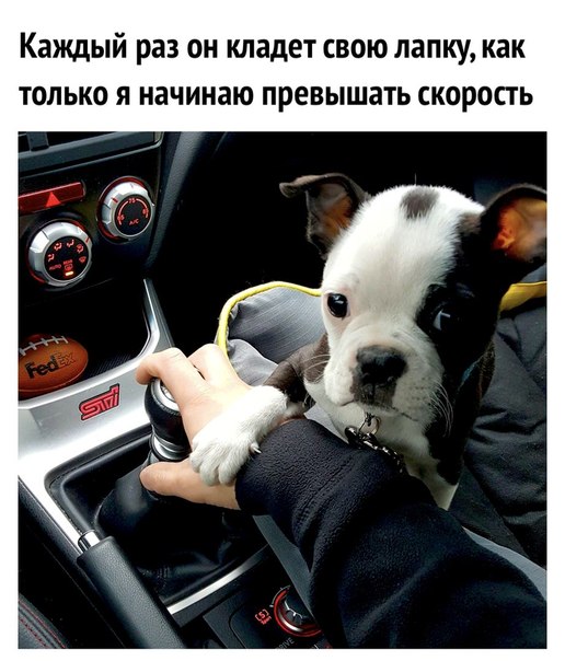 Немного картинок для настроения 24.01.20