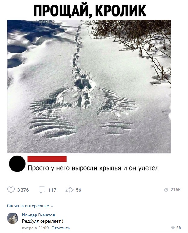 Комментарии к постам в разных группах, которые вызвали улыбку