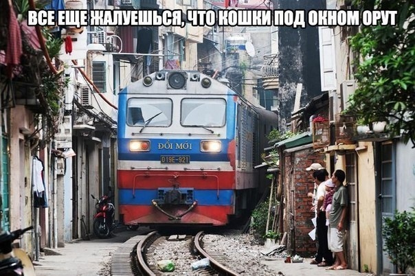 Чуток картинок 11.03.20