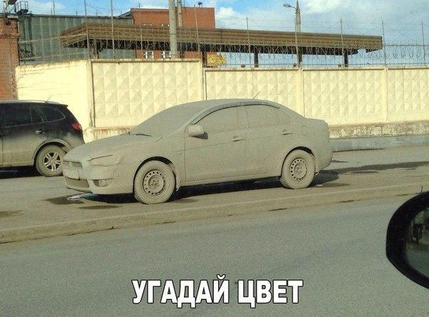 Чуток картинок 14.04.20
