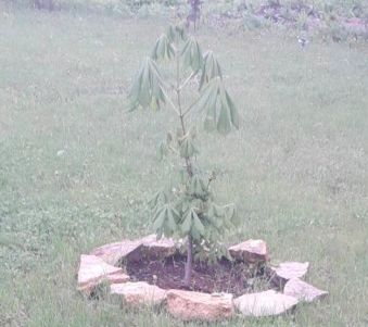 Дача, дождь, скучно