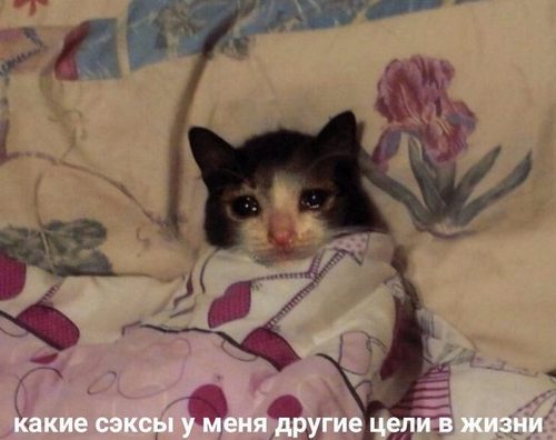 Достойно ли мужчине - просить разрешение купить себе пива?