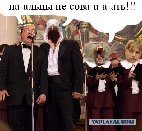 Чайка из Алькатраца