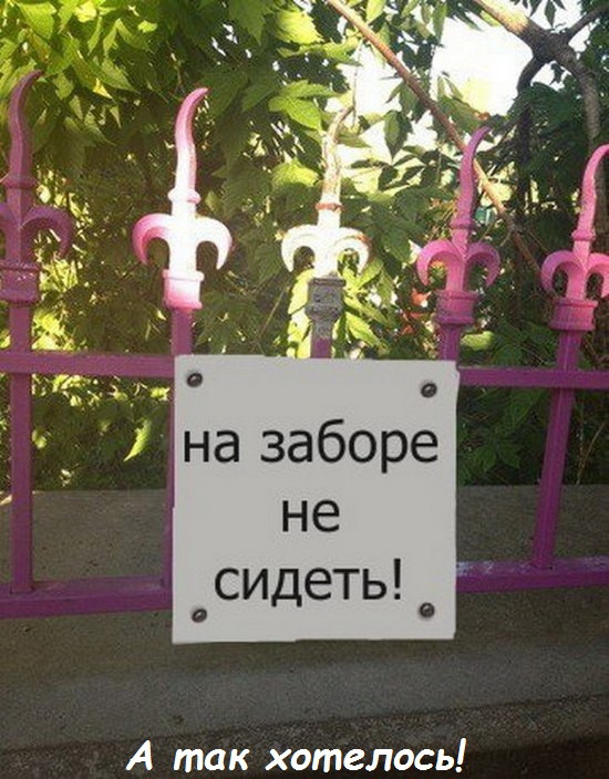 Фотки и картинки: юморные и красивые, забавные и милые 18.09.20