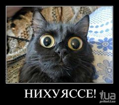 Почему среди мужчин так много мудаков?