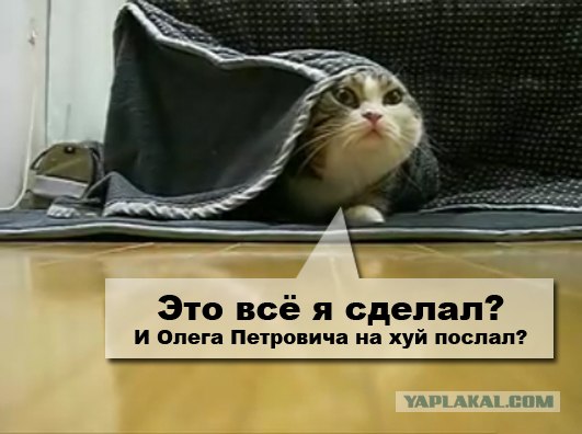 Не будите так рано! (видео)