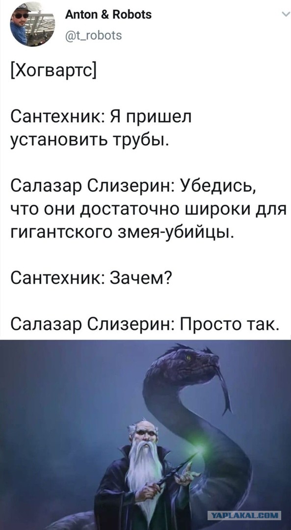 Свинегрет: картинки, надписи и прочее на 20.02.21 или №30