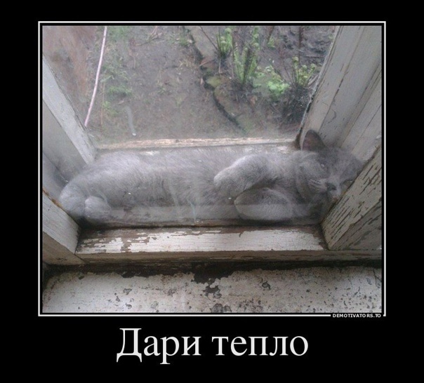 Так себе картинки 11.03.2021