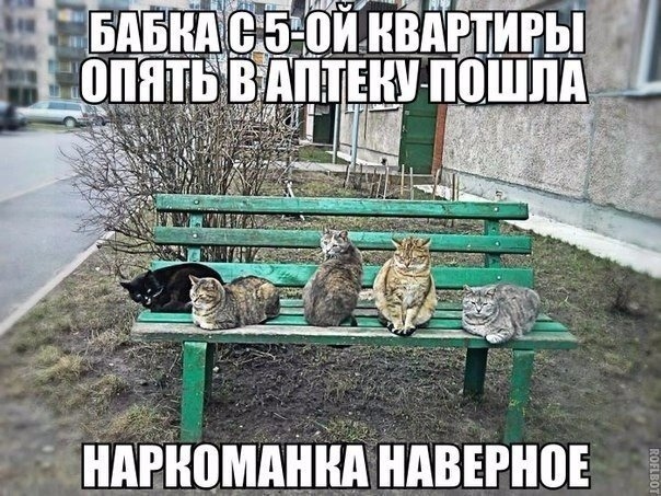 Так себе картинки 28.03.21