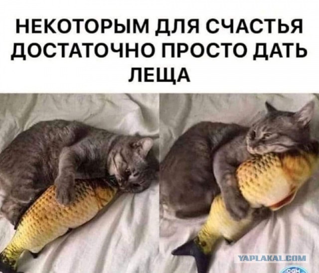 Разные картинки для настроения на любой вкус - 2