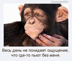 Алкопост 21.01.22