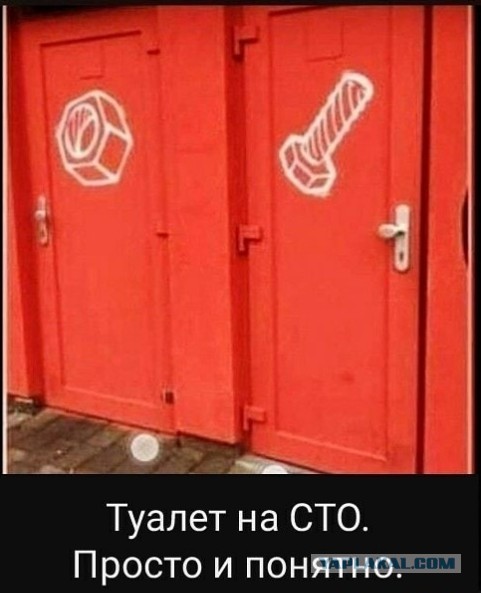 Забавные и веселые картинки