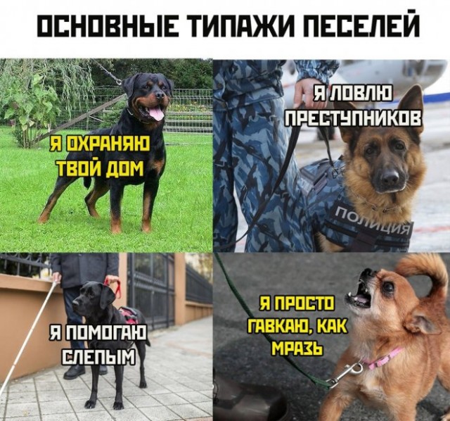 Парня в горы бери, тяни...