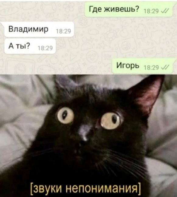 Скриншоты и комментарии из социальных сетей 16.09.22