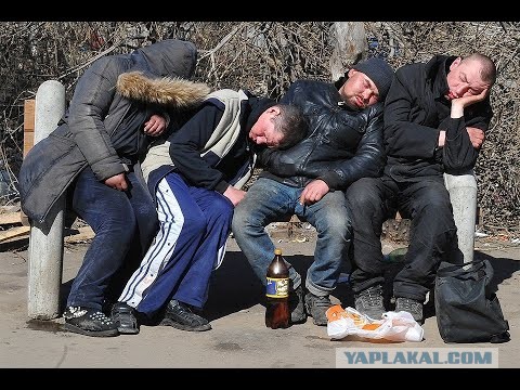 "Коммунисты России" назвали передачу Аляски США геополитической ошибкой и призвали начать работу по возвращению территории в РФ