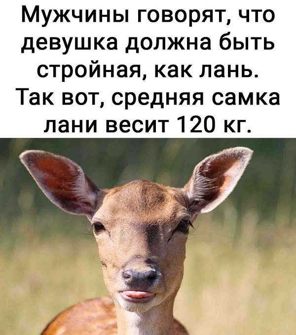 Немного картинок для настроения - 127