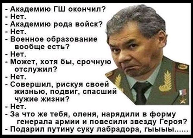 Гиркин о Шойгу