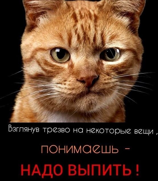 Баба Шура и Васьки