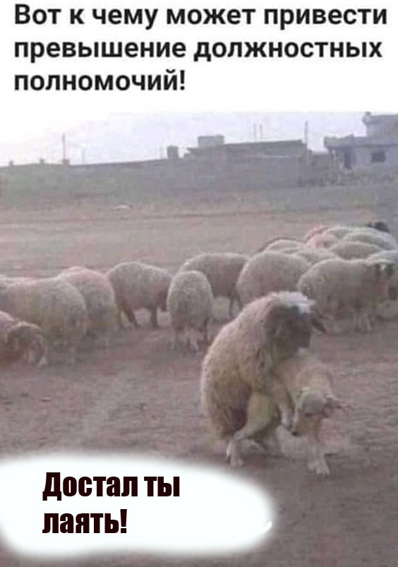 Так себе картинки 12.02.23