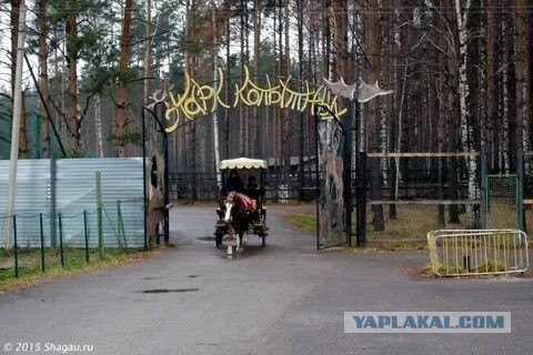 Отпуск в Ярославле