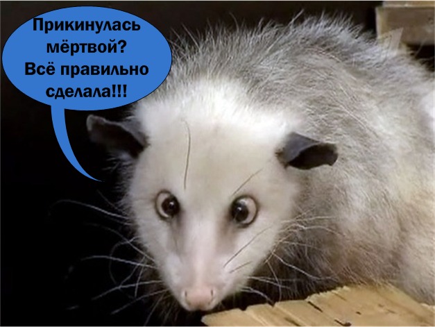 Вот когда нужен авто регистратор