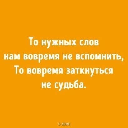 Прикольные и просто красивые картинки 01.11.2024