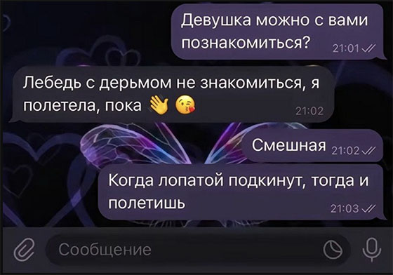 Так себе картинки 18.11.24