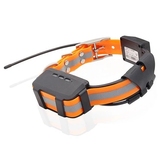 Веселая ферма: GPS трекеры для собак