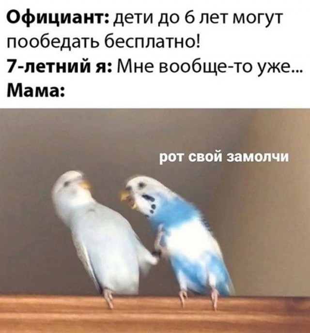 Веселые картинки в понедельник (20.01)