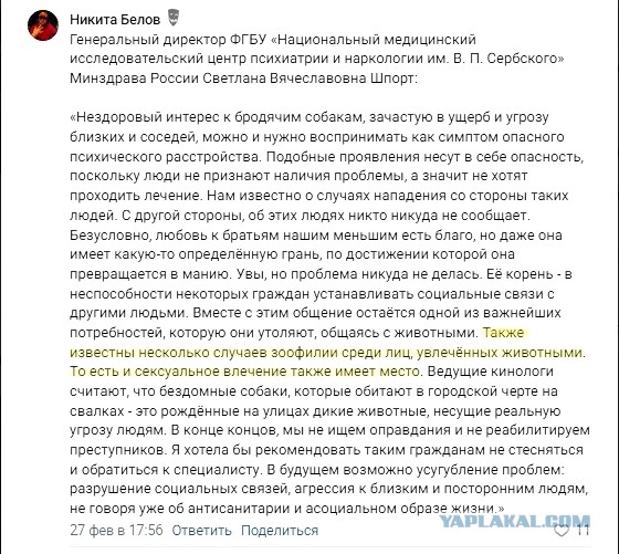Володин раскритиковал противников проекта о защите людей от бездомных животных