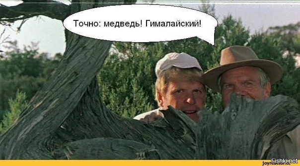 Шото не то