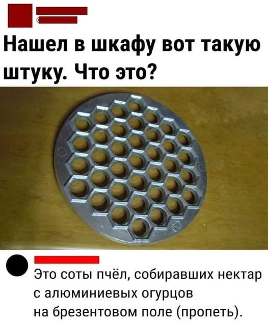 20465486.jpg