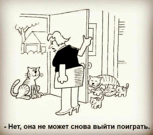Тема дня