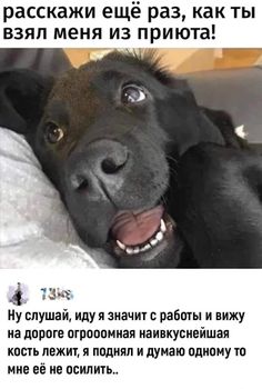 Картиночки, баянчики 09 марта