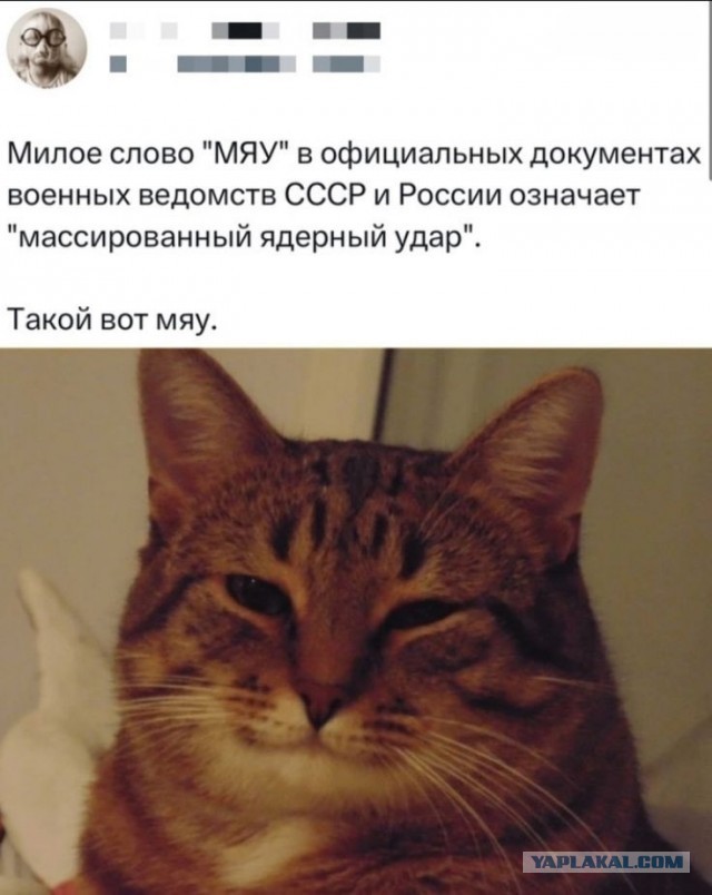 Вторника картинки