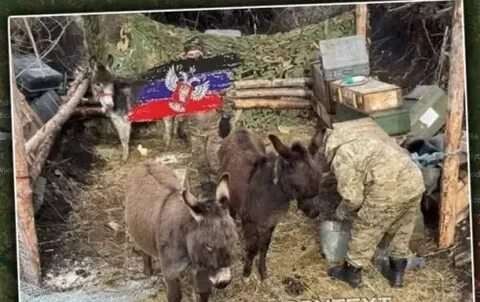 Оказывается у мавританской армии есть тактический верблюд