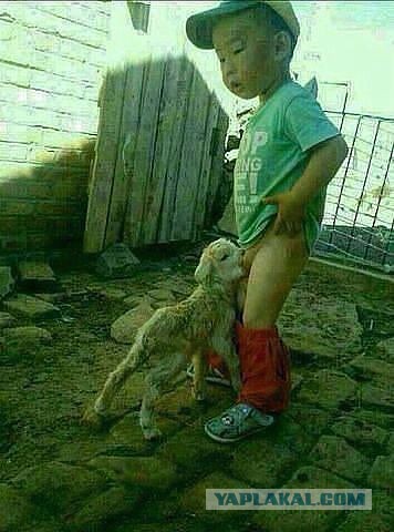 Зачатие ваххабита 18+