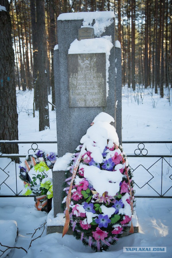 Белорусская деревня.