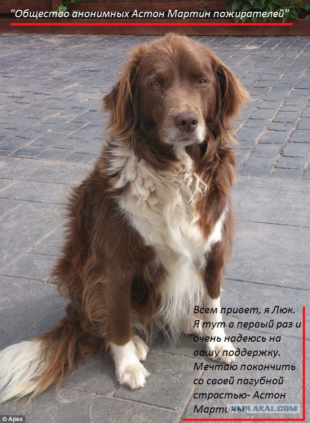 Его зовут Люк