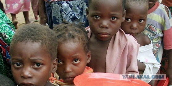 А Вы бы поели ЭТО? Аццкий хавчег!