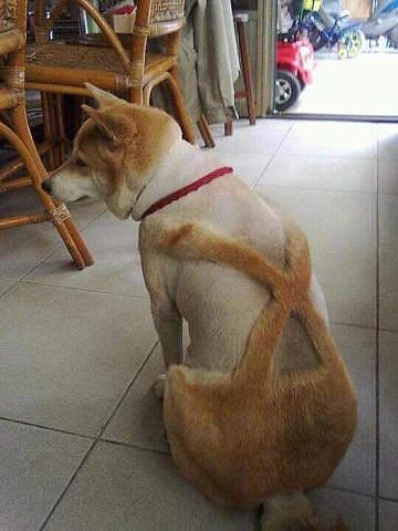 Немного позитива на пятницу.